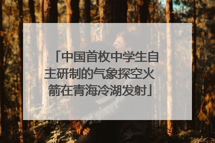 中国首枚中学生自主研制的气象探空火箭在青海冷湖发射
