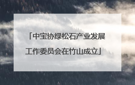 中宝协绿松石产业发展工作委员会在竹山成立