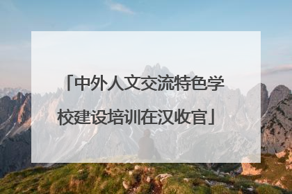 中外人文交流特色学校建设培训在汉收官