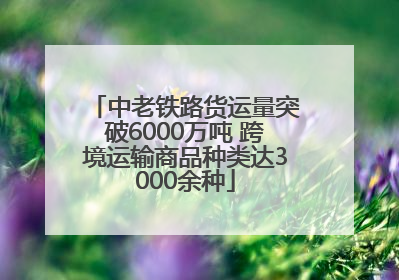 中老铁路货运量突破6000万吨 跨境运输商品种类达3000余种
