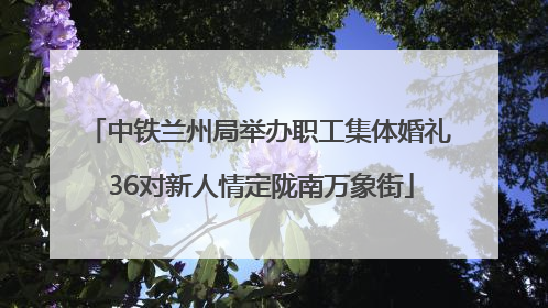 中铁兰州局举办职工集体婚礼 36对新人情定陇南万象街