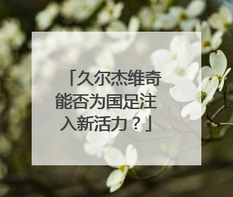 久尔杰维奇能否为国足注入新活力？