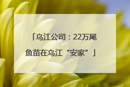 乌江公司：22万尾鱼苗在乌江“安家”