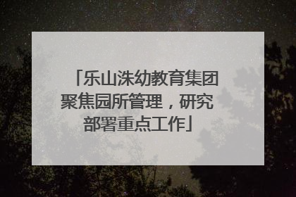 乐山洙幼教育集团聚焦园所管理，研究部署重点工作