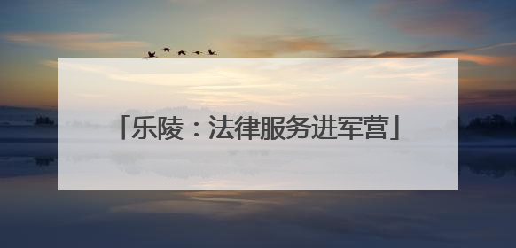 乐陵：法律服务进军营