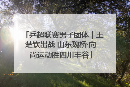 乒超联赛男子团体｜王楚钦出战 山东魏桥·向尚运动胜四川丰谷