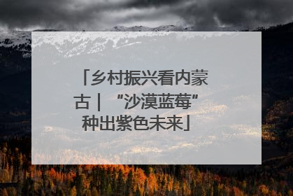 乡村振兴看内蒙古｜“沙漠蓝莓”种出紫色未来
