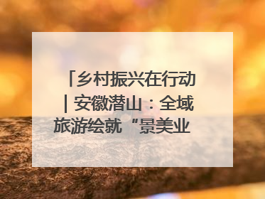 乡村振兴在行动｜安徽潜山：全域旅游绘就“景美业兴民富”新画卷