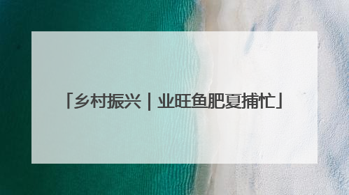 乡村振兴｜业旺鱼肥夏捕忙