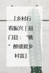 乡村行 看振兴｜易门县：“桃”醉盛夏乡村富