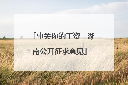 事关你的工资，湖南公开征求意见