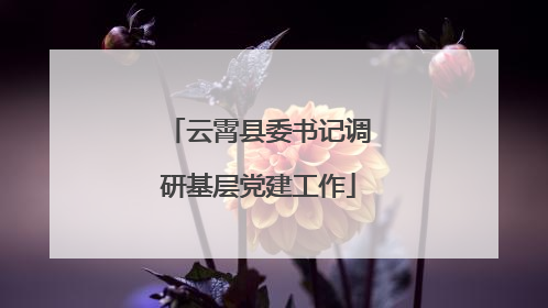 云霄县委书记调研基层党建工作