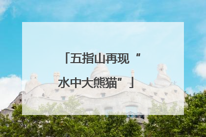 五指山再现“水中大熊猫”