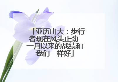 亚历山大：步行者现在风头正劲 一月以来的战绩和我们一样好