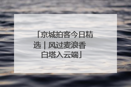京城拍客今日精选｜风过麦浪香 白塔入云端