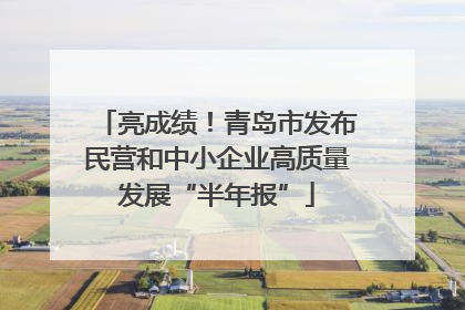 亮成绩！青岛市发布民营和中小企业高质量发展“半年报”