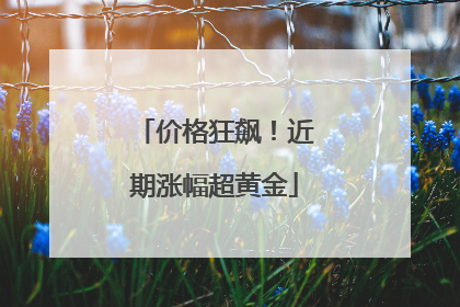 价格狂飙！近期涨幅超黄金