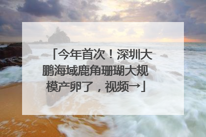 今年首次！深圳大鹏海域鹿角珊瑚大规模产卵了，视频→