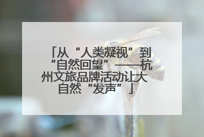 从“人类凝视”到“自然回望”——杭州文旅品牌活动让大自然“发声”