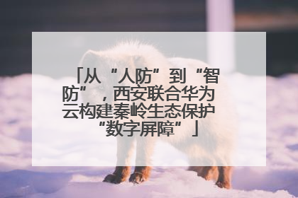 从“人防”到“智防”，西安联合华为云构建秦岭生态保护“数字屏障”