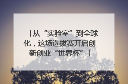 从“实验室”到全球化，这场选拔赛开启创新创业“世界杯”