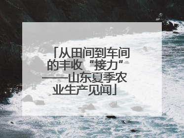 从田间到车间的丰收“接力”——山东夏季农业生产见闻
