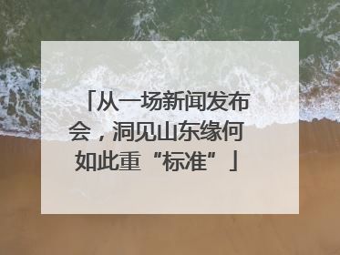 从一场新闻发布会，洞见山东缘何如此重“标准”