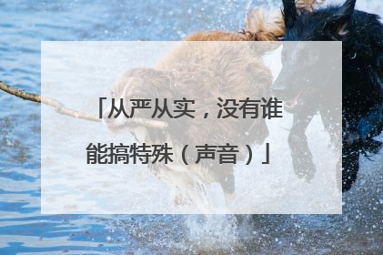 从严从实，没有谁能搞特殊（声音）