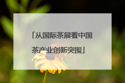 从国际茶展看中国茶产业创新突围