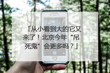 从小看到大的它又来了！北京今年“吊死鬼”会更多吗？