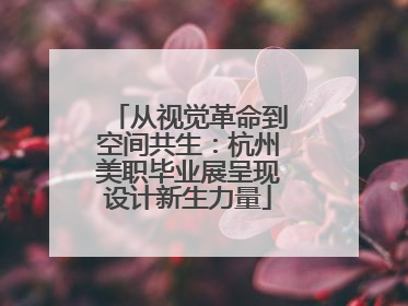 从视觉革命到空间共生：杭州美职毕业展呈现设计新生力量