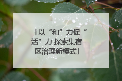 以“和”力促“活”力 探索集宿区治理新模式