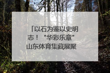 以石为鉴以史明志！“华彩乐章”山东体育集藏展聚焦“岱石丹心”