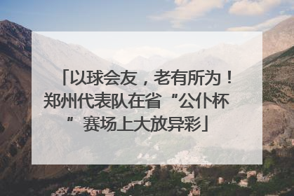 以球会友，老有所为！郑州代表队在省“公仆杯”赛场上大放异彩