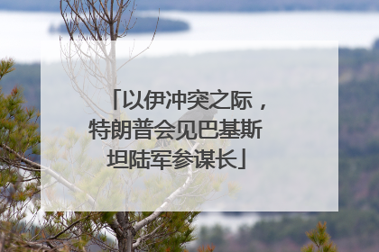 以伊冲突之际，特朗普会见巴基斯坦陆军参谋长