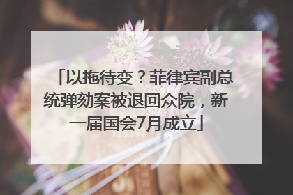 以拖待变？菲律宾副总统弹劾案被退回众院，新一届国会7月成立