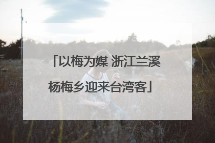 以梅为媒 浙江兰溪杨梅乡迎来台湾客