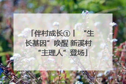 伴村成长①丨 “生长基因”唤醒 新溪村“主理人”登场