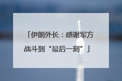 伊朗外长：感谢军方战斗到“最后一刻”