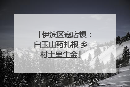 伊滨区寇店镇：白玉山药扎根 乡村土里生金