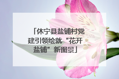 休宁县盐铺村党建引领绘就“花开盐铺”新图景
