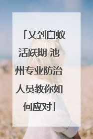 又到白蚁活跃期 池州专业防治人员教你如何应对
