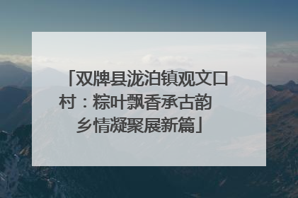 双牌县泷泊镇观文口村：粽叶飘香承古韵 乡情凝聚展新篇