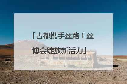 古都携手丝路！丝博会绽放新活力