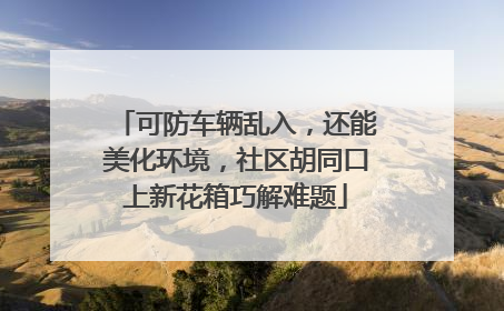 可防车辆乱入，还能美化环境，社区胡同口上新花箱巧解难题