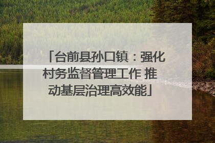 台前县孙口镇：强化村务监督管理工作 推动基层治理高效能