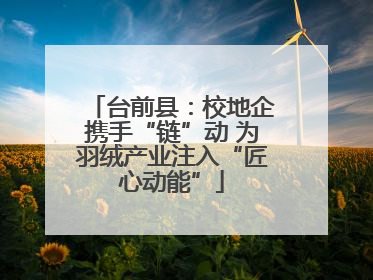 台前县：校地企携手“链”动 为羽绒产业注入“匠心动能”
