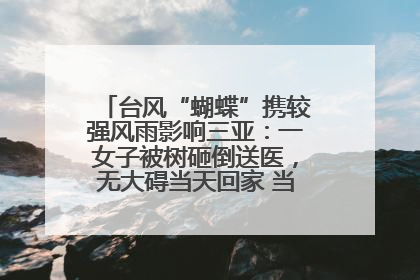 台风“蝴蝶”携较强风雨影响三亚：一女子被树砸倒送医，无大碍当天回家 当地已紧急清障