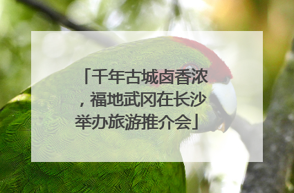 千年古城卤香浓，福地武冈在长沙举办旅游推介会