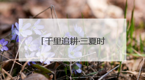 千里追耕·三夏时节丨科技“铁军”护航 麦收颗粒归仓